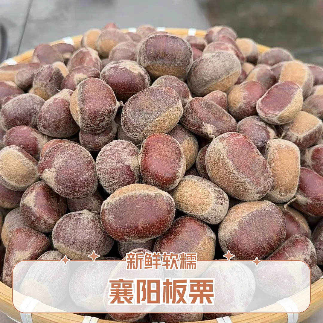 湖北襄阳深山新鲜板栗软糯香甜口感好