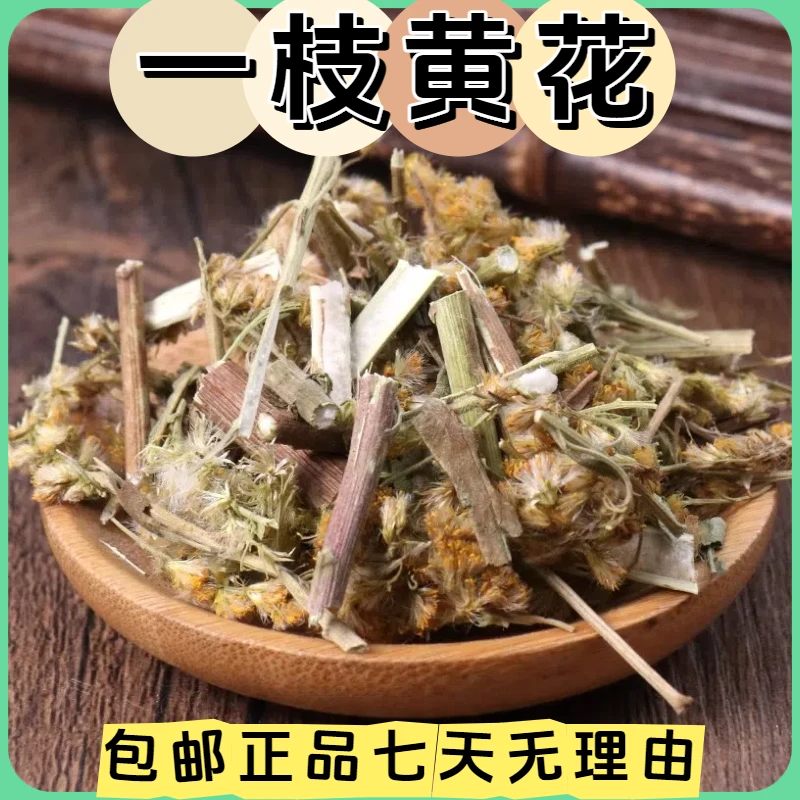 一枝黄花黄花草云南一枝黄花中药材精选高原金锁钥老虎尿非金蝉花