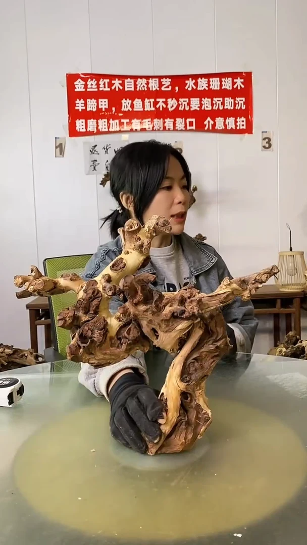 香榧木活**下金丝红木 羊蹄甲