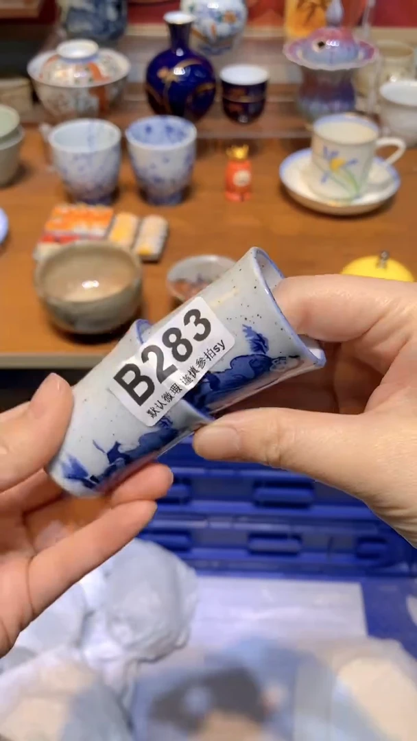 【闪购商品】思羽甄选壹号商品BB283