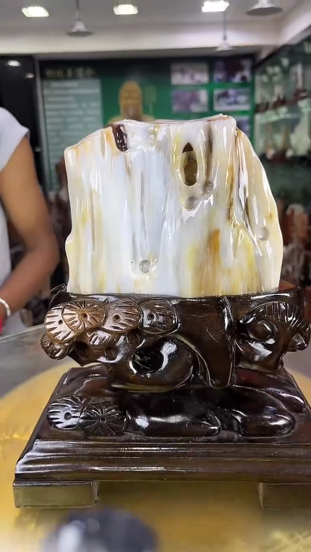 未镶嵌珠宝奇石硅化玉缅甸天然树化玉摆件