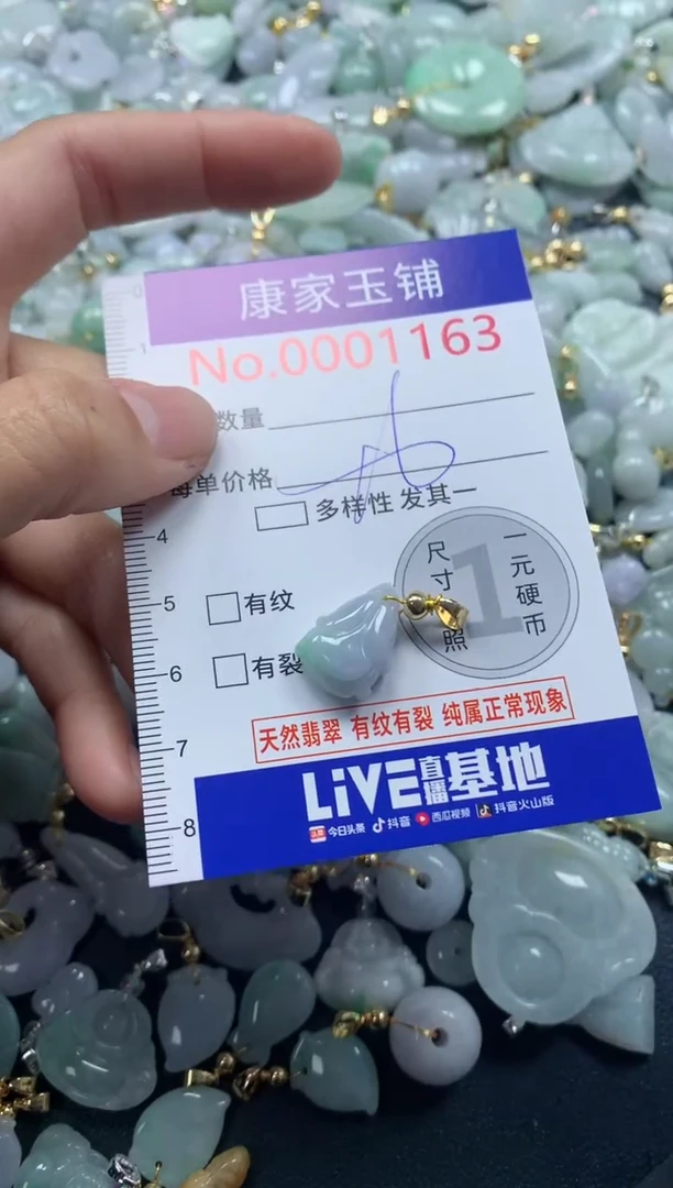 颈饰未镶嵌翡翠1163