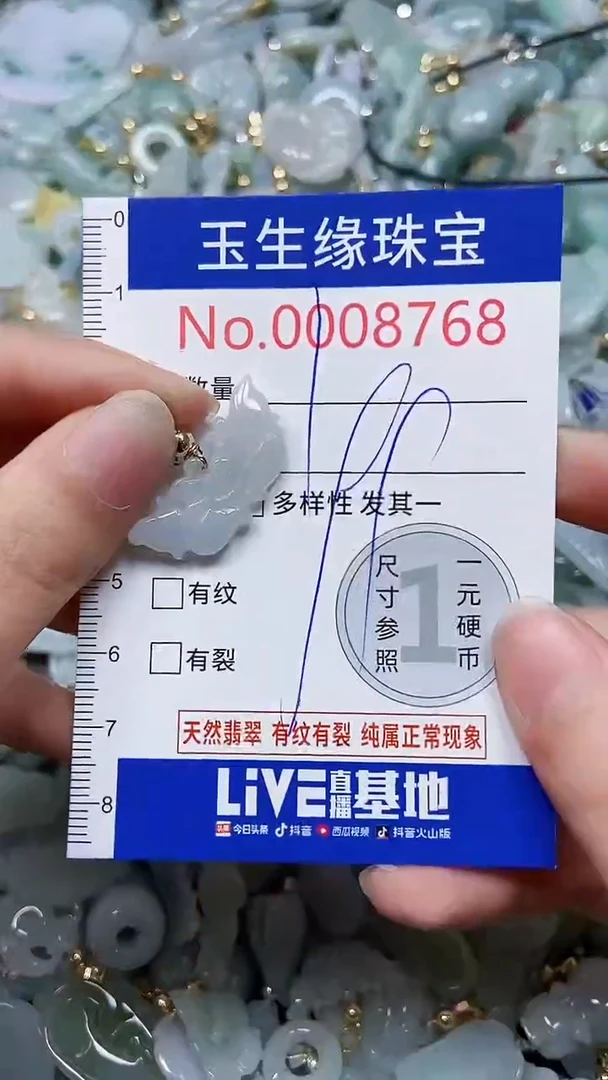 【闪购商品】翡翠颈饰未镶嵌闪购00008768