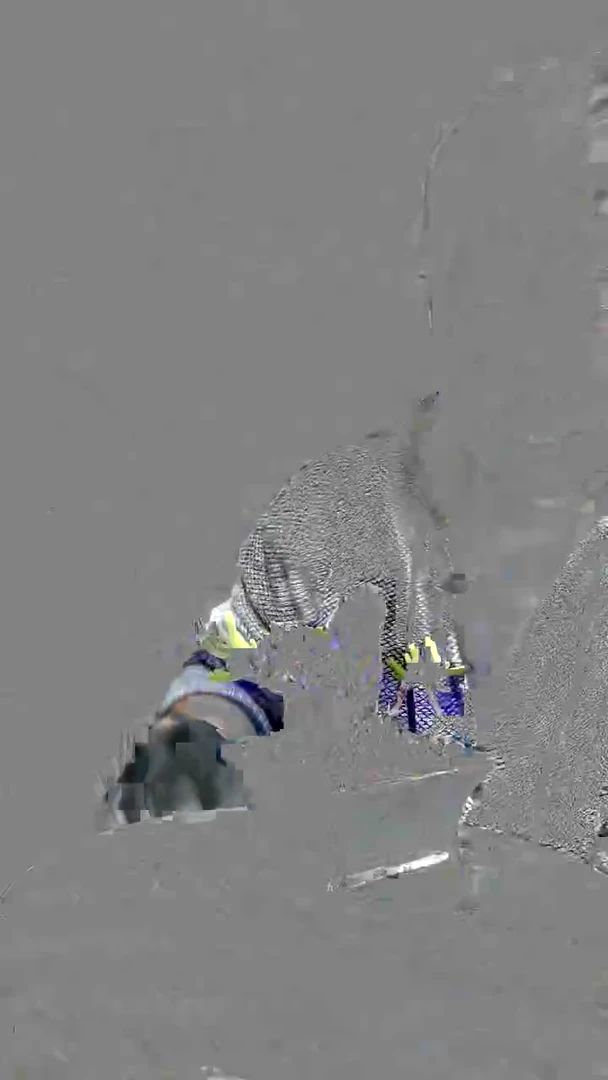 穷****面中青园艺一物一拍花449