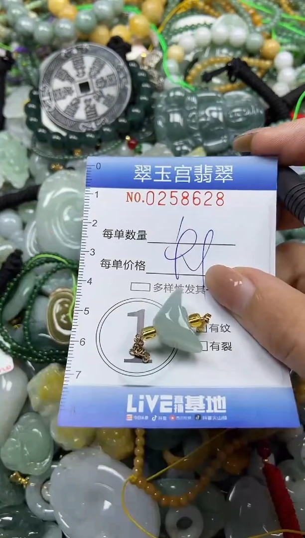 颈饰未镶嵌翡翠闪购C0258628