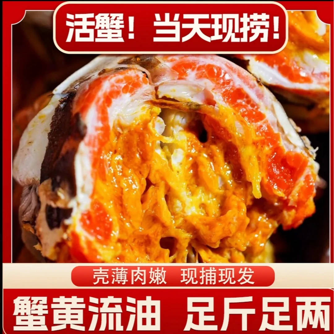 【活蟹现发】江苏精品大闸蟹公蟹5.5两+母蟹4.5两各3只螃蟹礼盒装