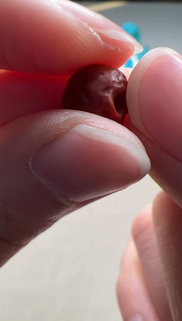 【闪购商品】南红玛瑙配饰配饰未镶嵌配饰配饰