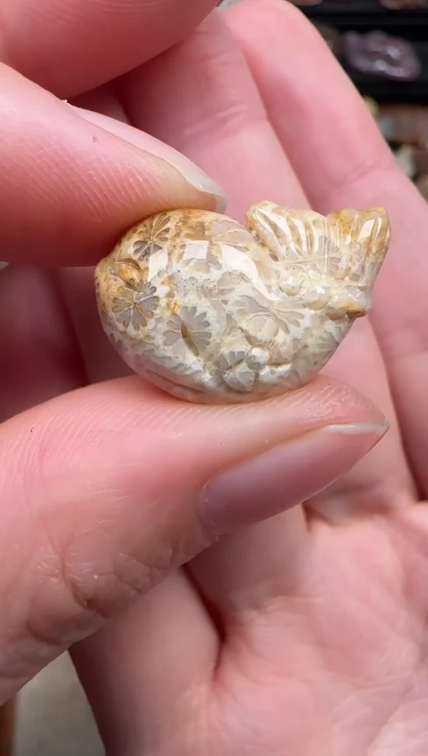 颈饰未镶嵌硅化珊瑚（珊瑚玉）787