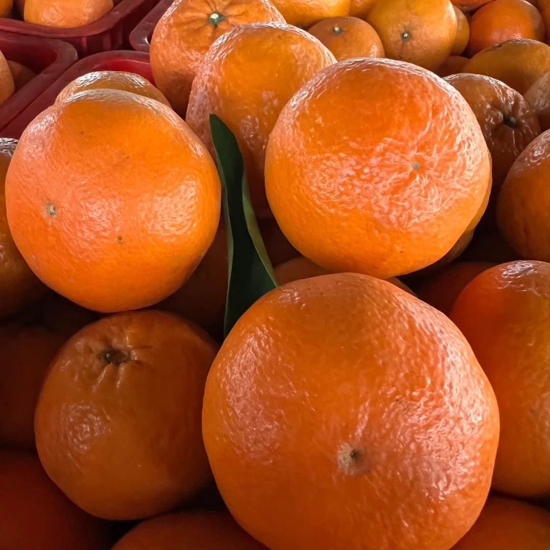 1老树柑自家果园直采新鲜香甜多汁 9斤包邮