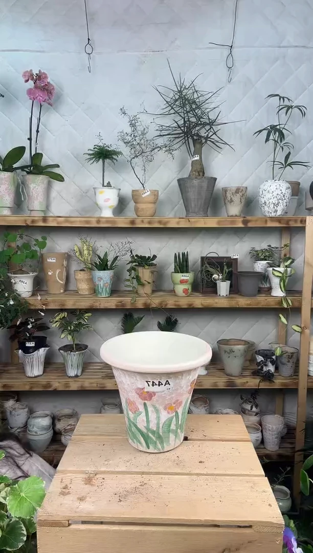 无花朵447编号  景德镇手绘花盆