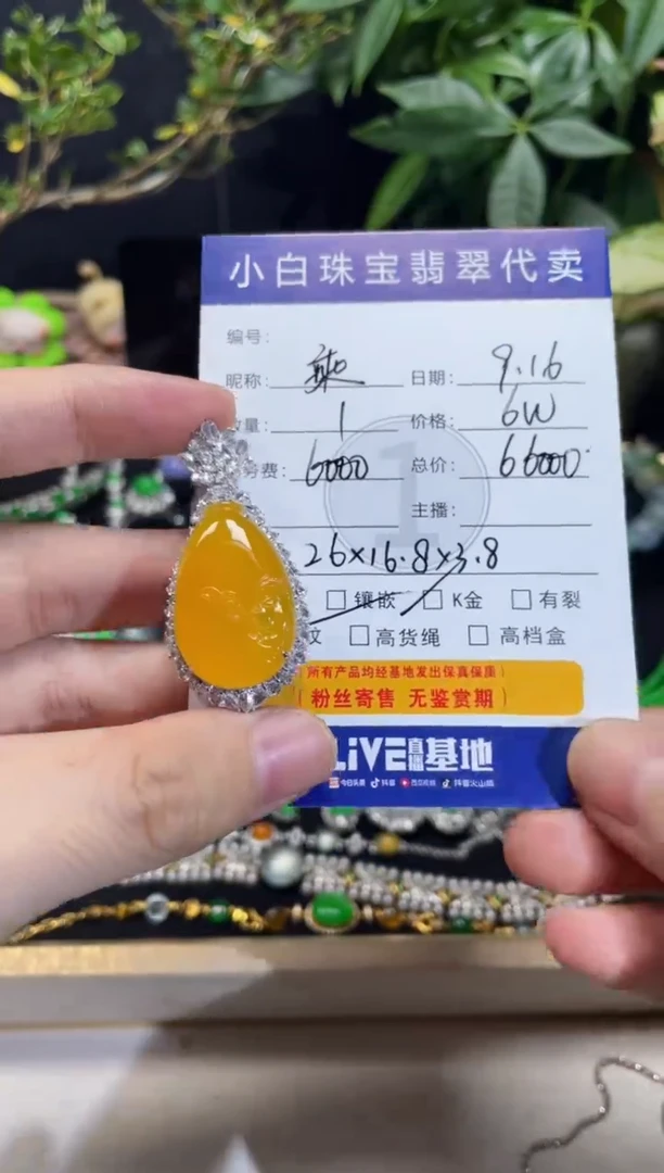 吊坠(不含链)18K金镶嵌翡翠乘***?吊坠