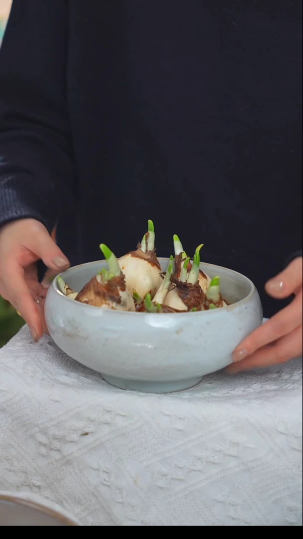 高温陶瓷-盘 201（直径16cm）