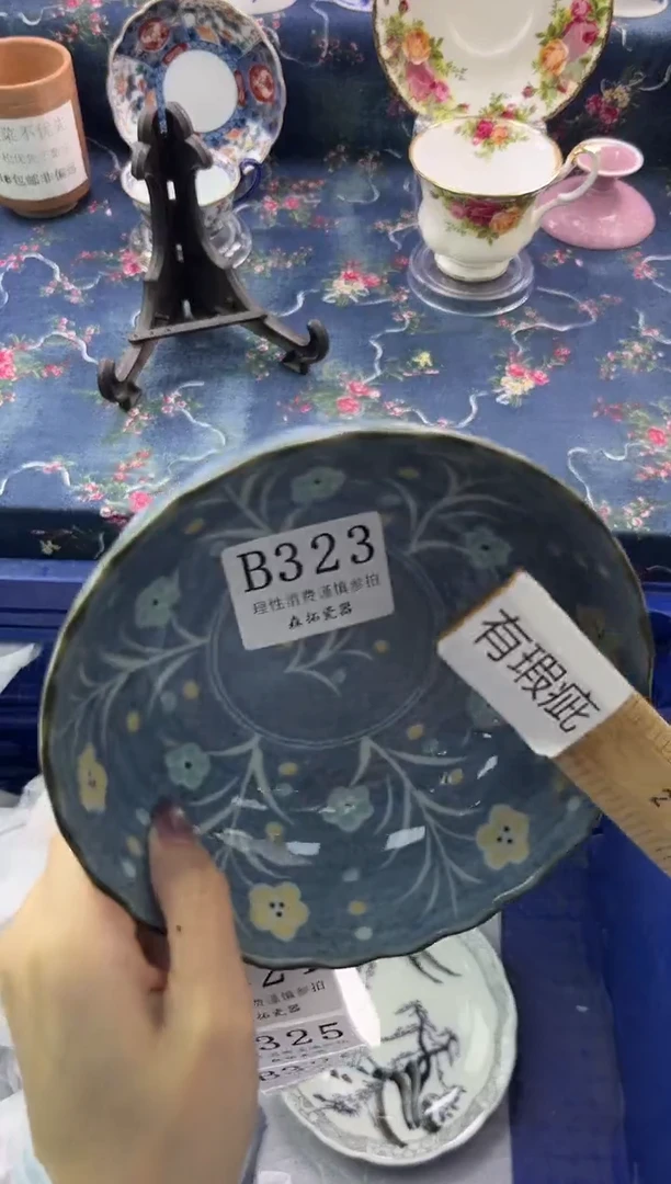 瓷片          B323