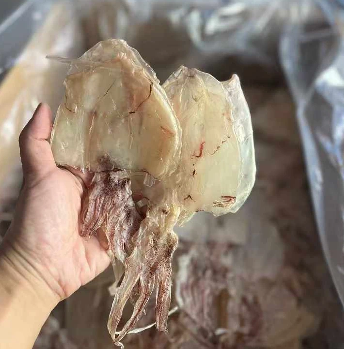 惠来神泉本港鱿鱼干一斤38个左右