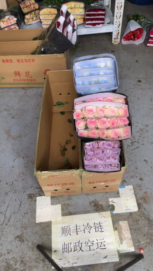 海洋之歌20枝+洛神20枝+碎冰蓝20枝