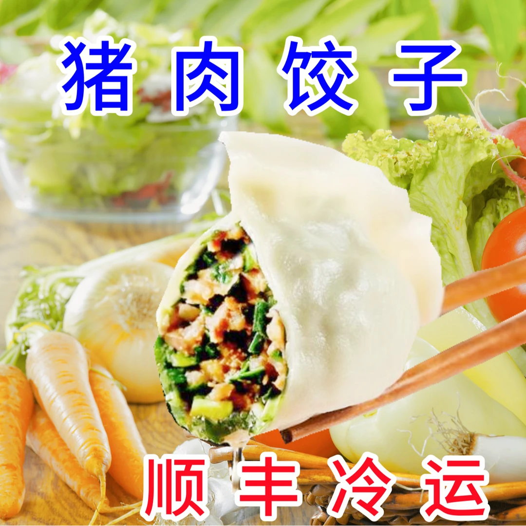 【4斤猪肉茴香荠菜饺子】手工肉馅水饺拍2斤送2斤4斤4包80个S1