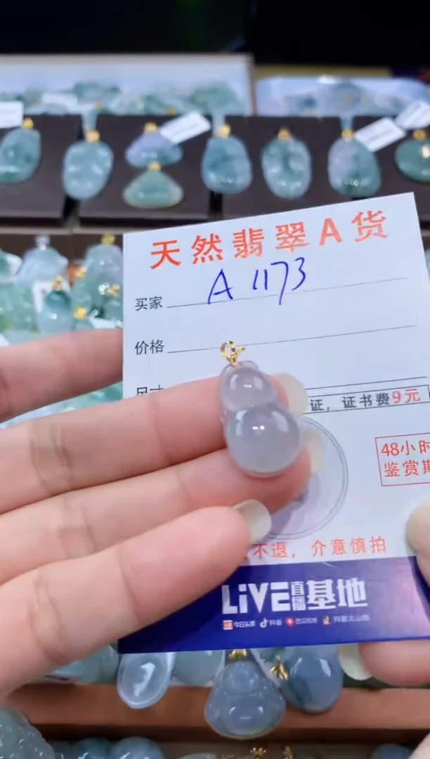 颈饰未镶嵌翡翠天然翡翠A货挂件