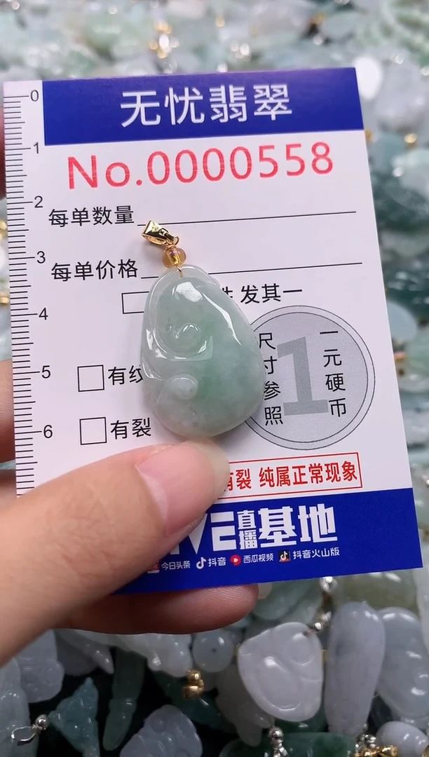 颈饰未镶嵌翡翠558