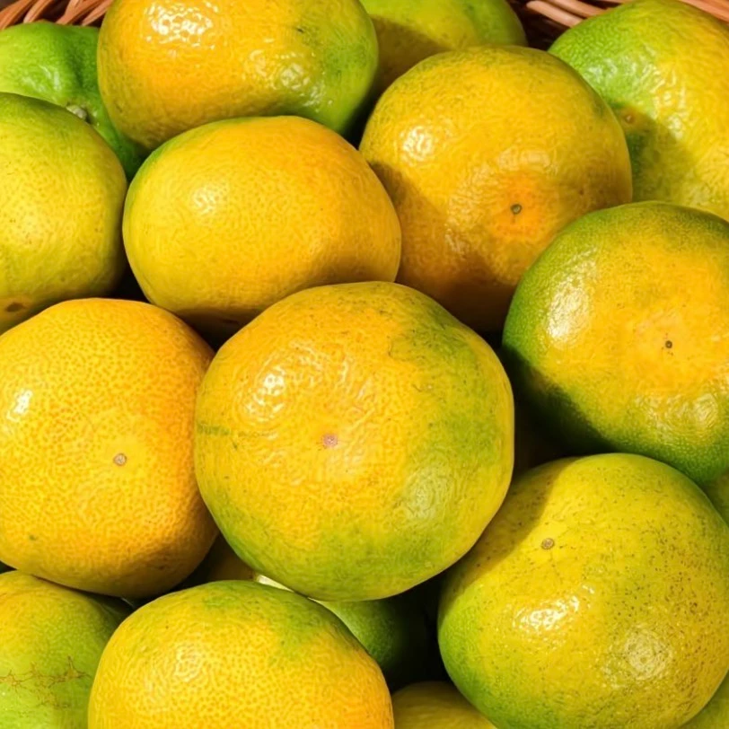 【福利】薄皮小桔子宜昌蜜桔产地直发不打蜡人工挑果精品小果