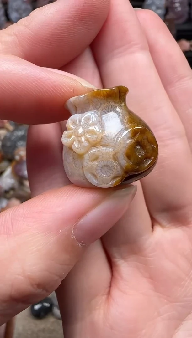 颈饰未镶嵌硅化珊瑚（珊瑚玉）842