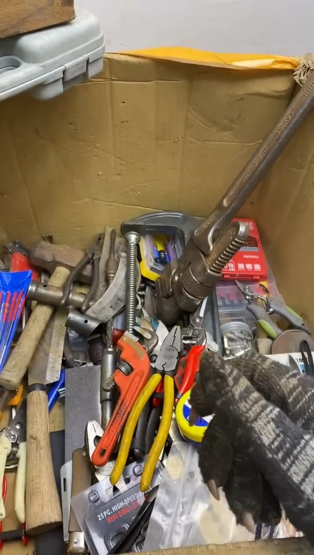 纤**龙五金园艺农具厨具工具闪购