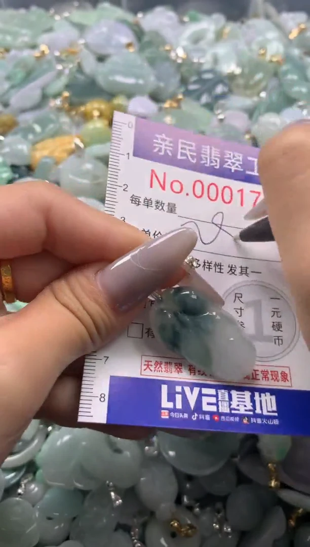 颈饰未镶嵌翡翠1712