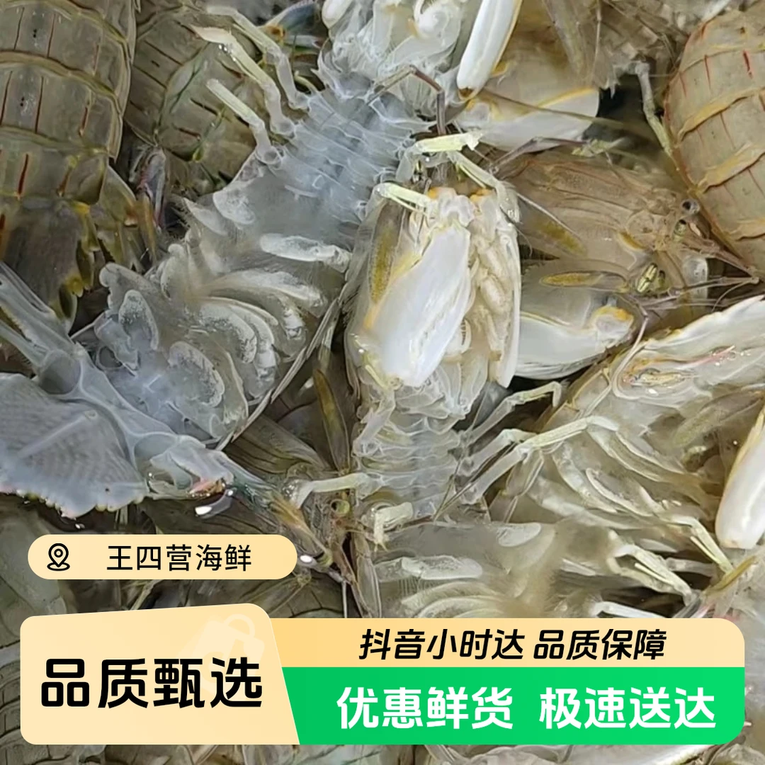 《福利》鲜活皮皮虾海蟹双拼，斤数可选，保鲜不包活大虾同城送