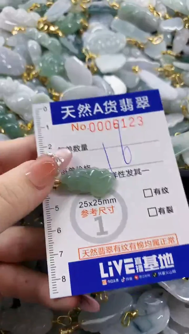 颈饰未镶嵌翡翠天然A货翡翠