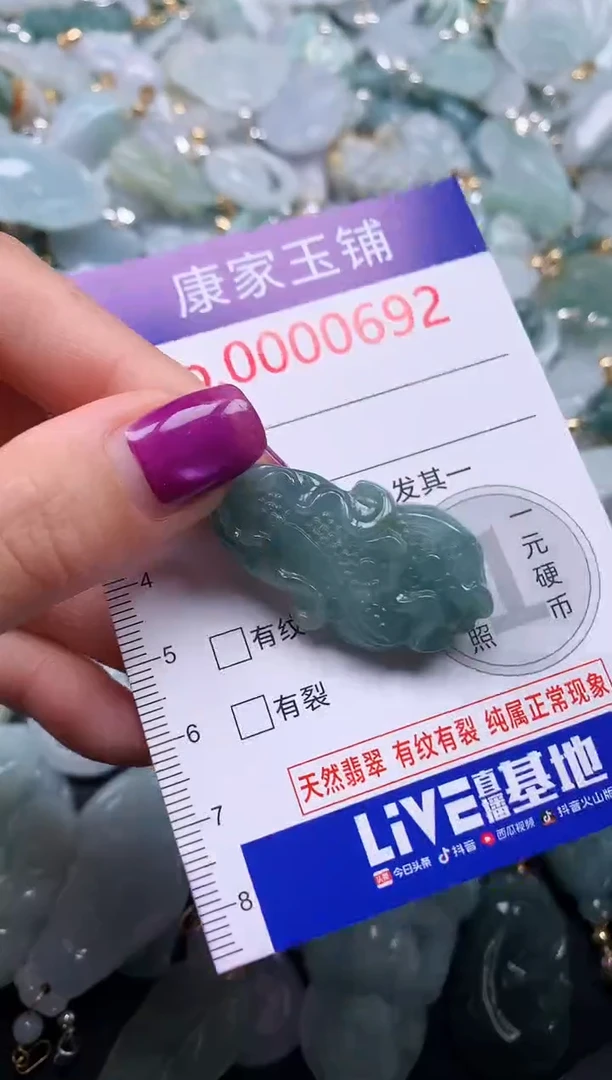 颈饰未镶嵌翡翠692