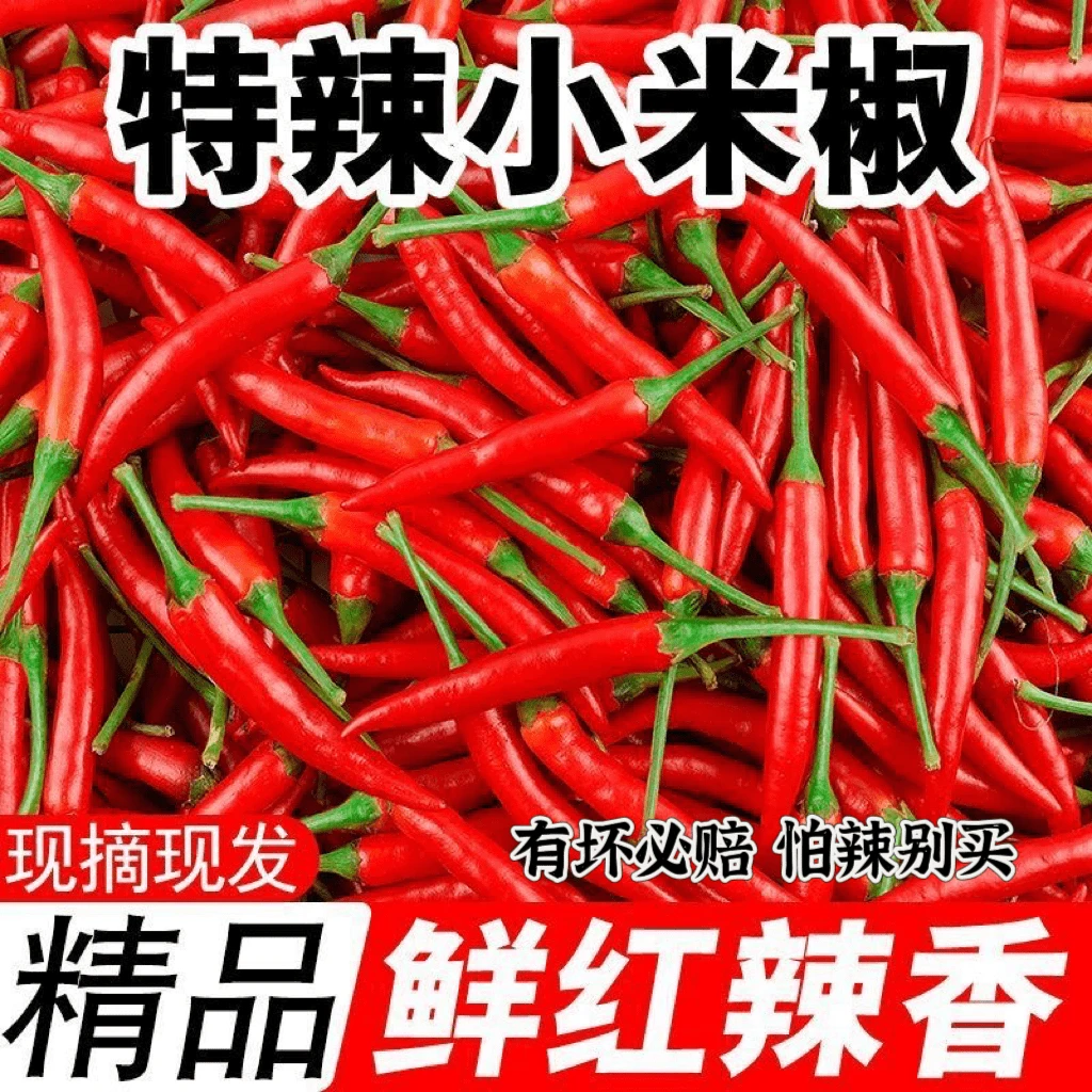 新鲜现摘特辣小米椒可用于餐饮调味的优质蔬菜辣椒 带箱重3斤