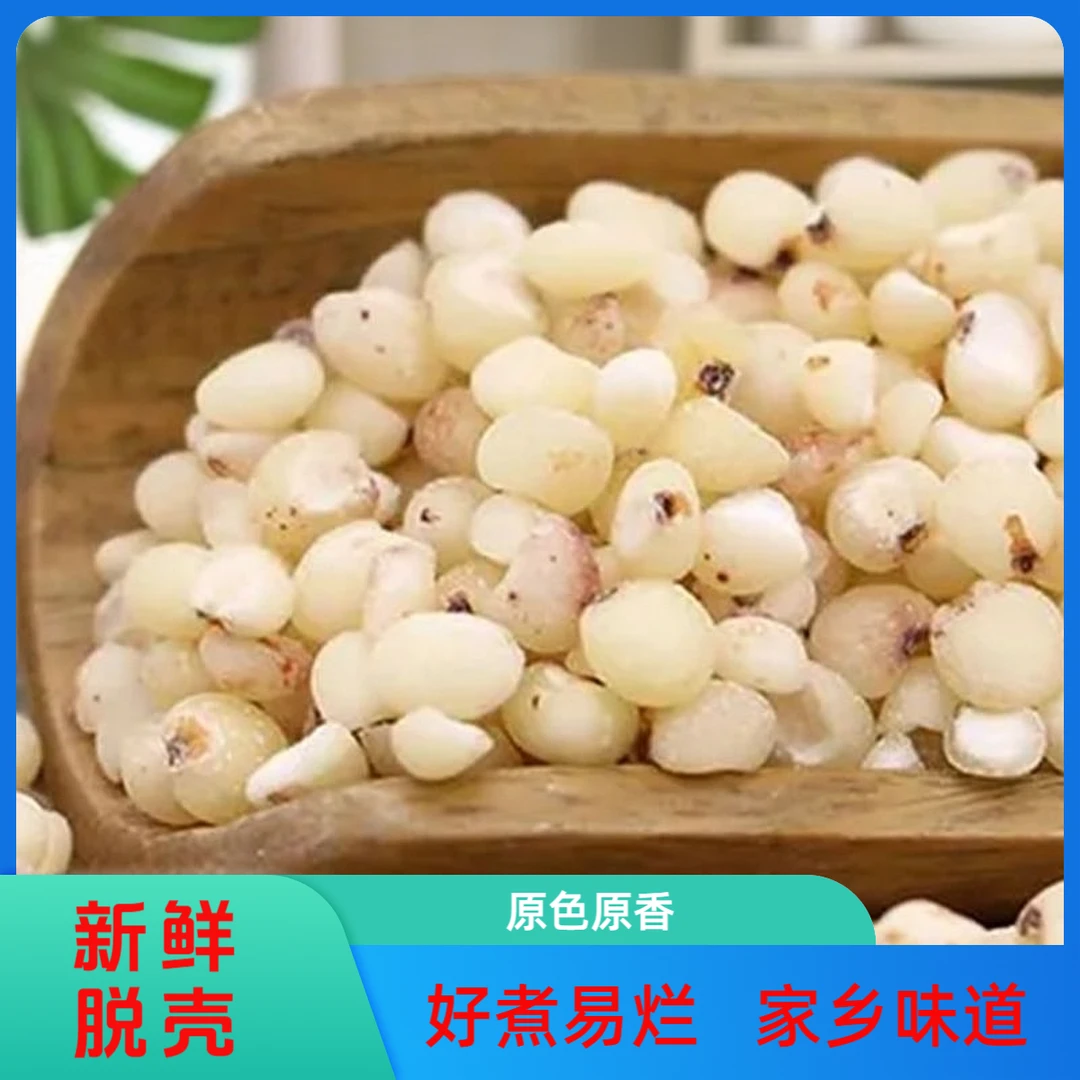 2斤东北特产新高梁米农家自种白高粱米去壳食用五谷杂粮6A高梁米