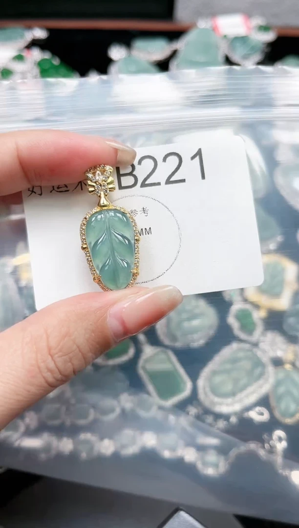 【闪购商品】翡翠颈饰未镶嵌赠皮绳221