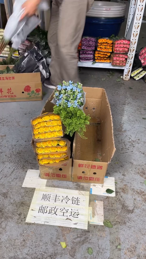 月光漫步2扎+蓝星花+绿林草