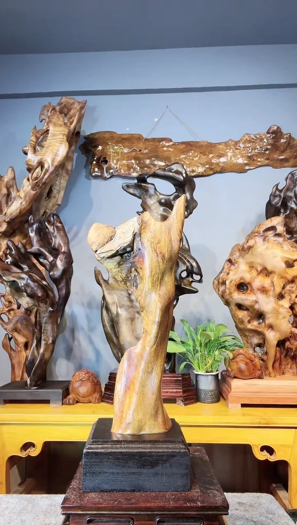 金丝楠阿***喵以直播间介绍为准