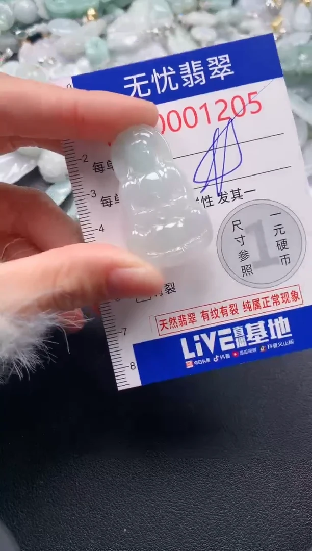 吊坠(不含链)未镶嵌翡翠1205