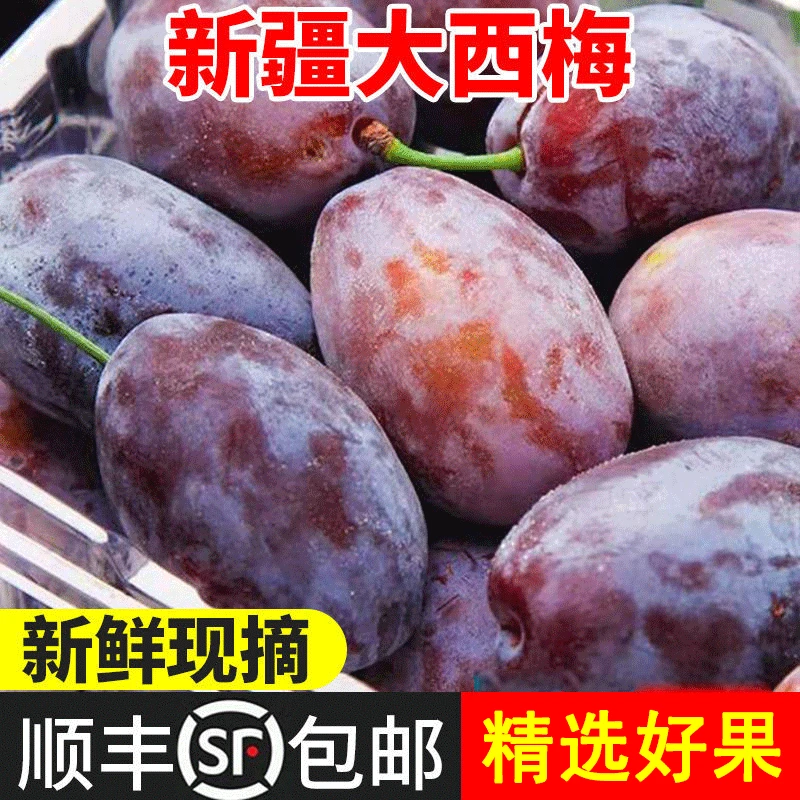 顺丰直达-正宗新疆喀什西梅新鲜水果当季爆甜大西梅鲜果李子