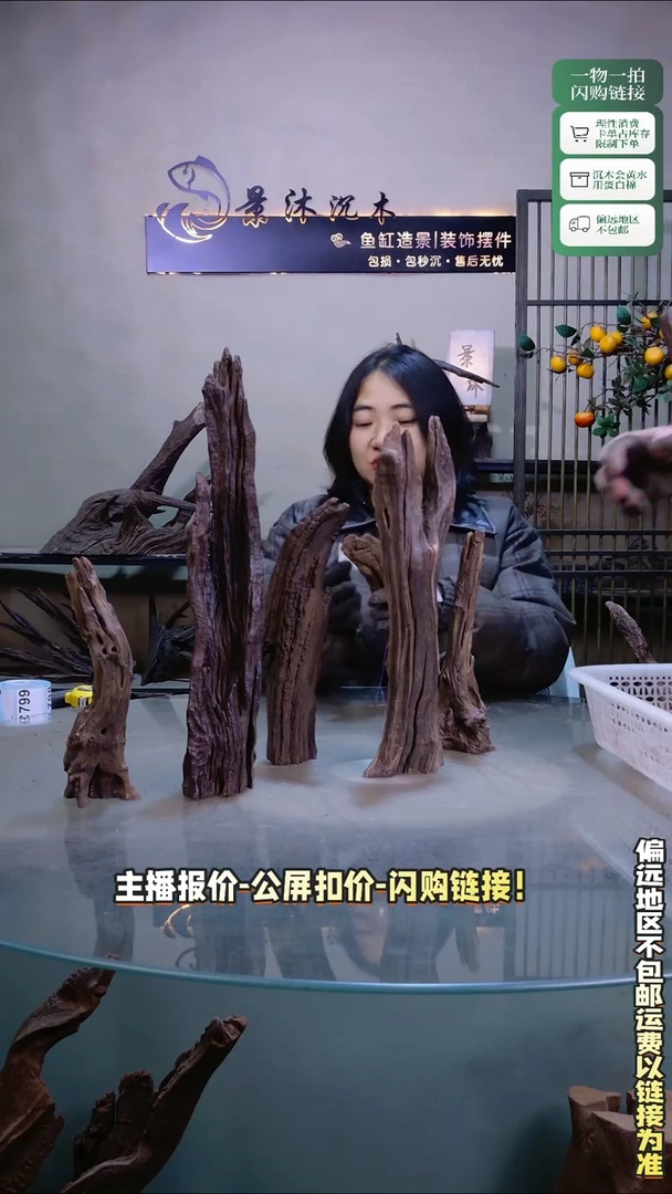 老****鱼景沐沉木C795 42