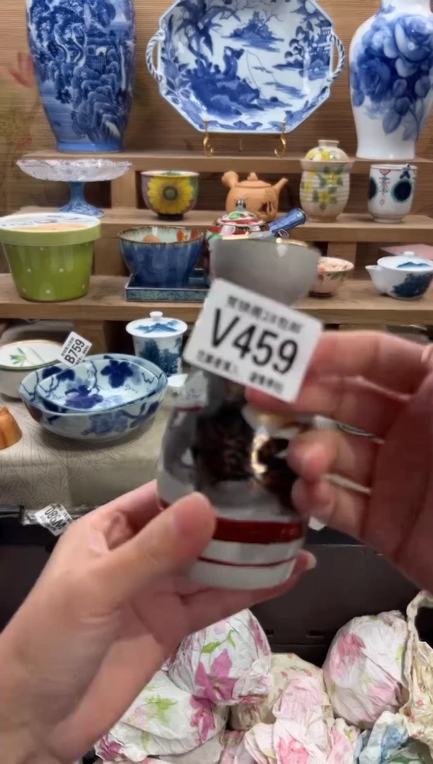 瓷片影*     V459