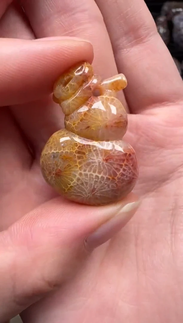 颈饰未镶嵌硅化珊瑚（珊瑚玉）685