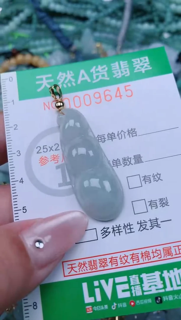 翡翠未镶嵌颈饰.0009645