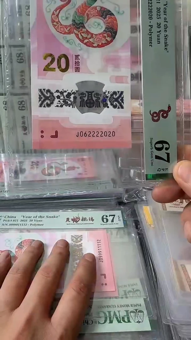 塑料062222020-蛇钞单张