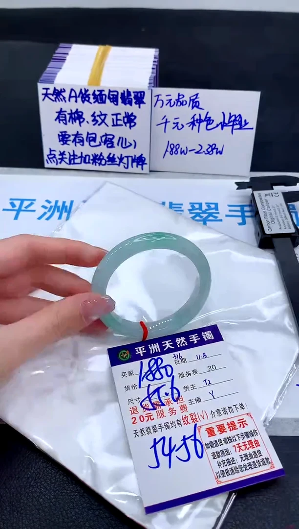 未镶嵌手镯翡翠111111111