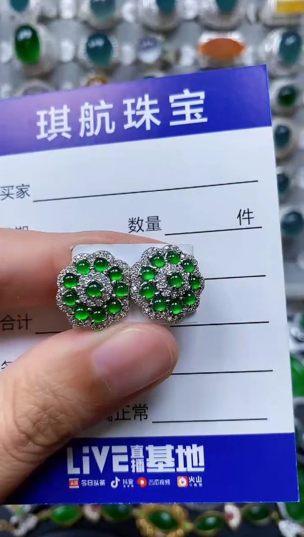 【闪购商品】翡翠耳饰银S925镶嵌0641