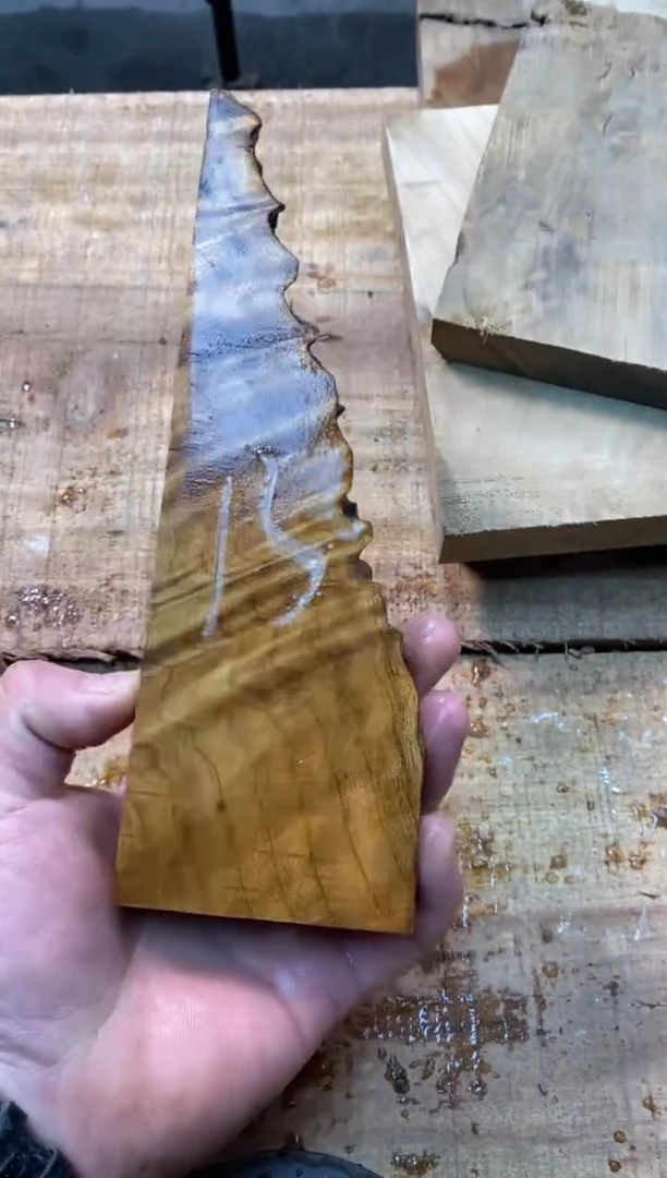 余****³金丝楠小叶桢楠1