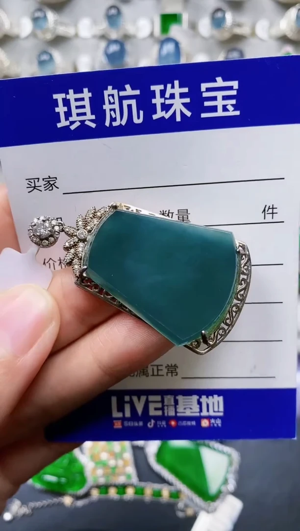 【闪购商品】翡翠颈饰银S925镶嵌0401