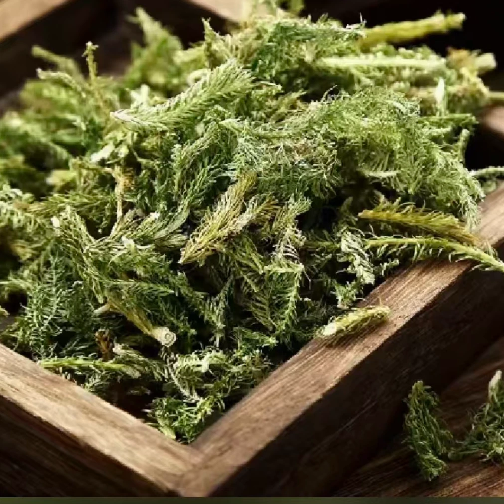 滋补伸瑾草茶饮泡水草