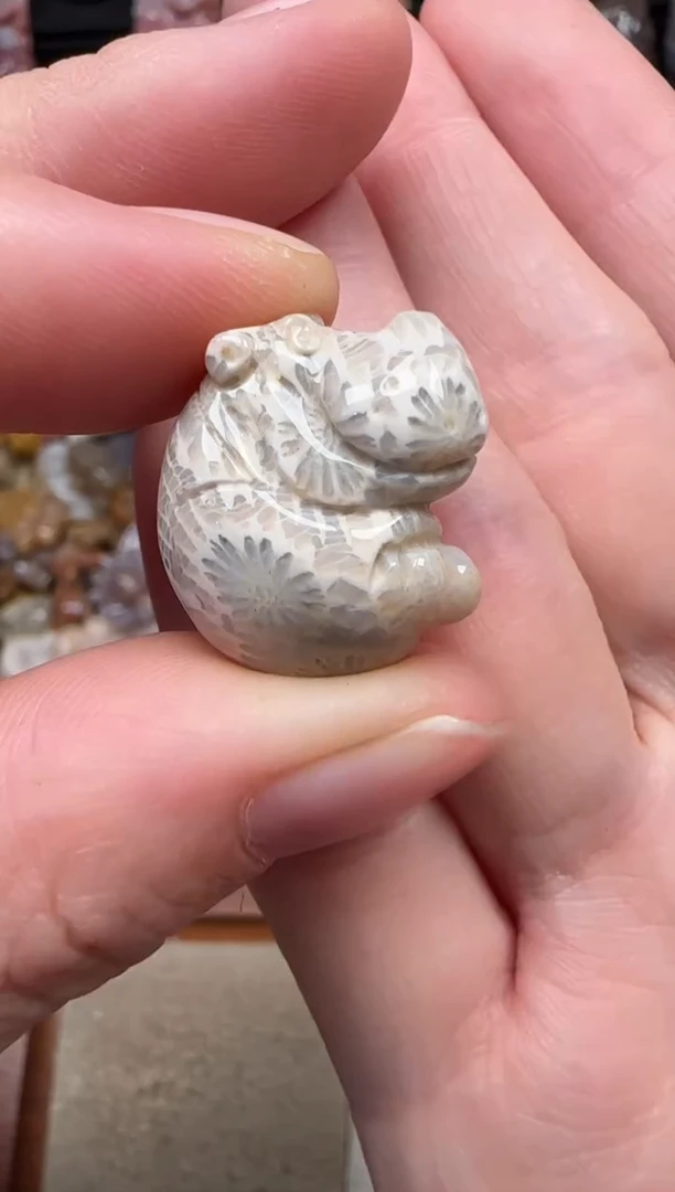 颈饰未镶嵌硅化珊瑚（珊瑚玉）520