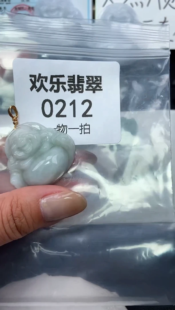 颈饰未镶嵌翡翠缅甸天然翡翠0212