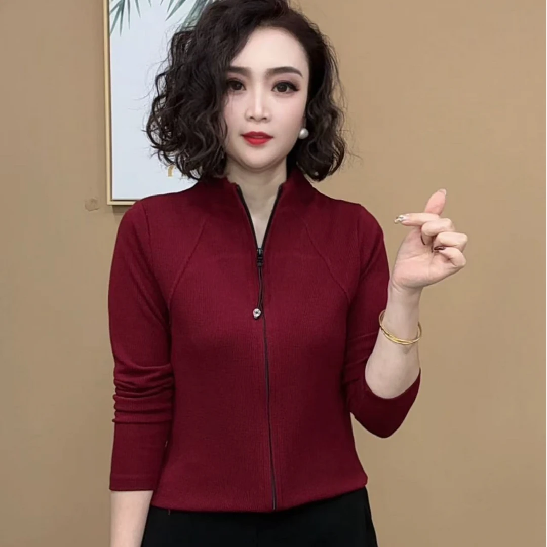 2025春季时尚气质洋气修身显瘦百搭休闲针织拉链长袖纯色小衫 #02