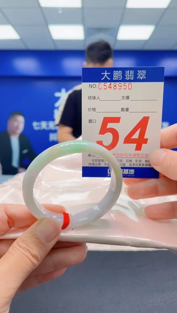 未镶嵌手镯翡翠AAAAAAAAA